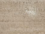 Super White Travertine - No. 1280 - Image 4